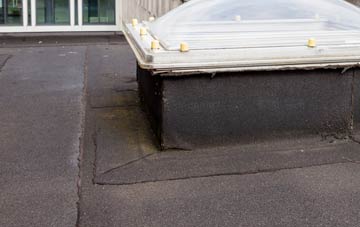 disadvantages of The Drones flat roofs
