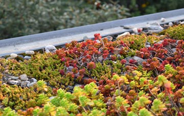 the cost of The Drones green roof installation
