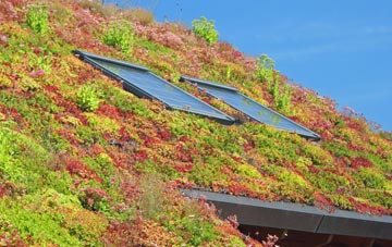 The Drones living roof systems