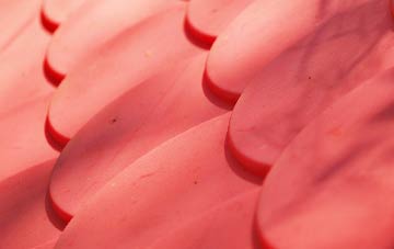 The Drones plastic roof costs