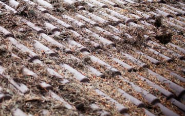 The Drones roof cleaning companies