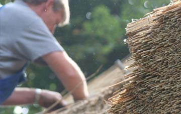 professional The Drones thatchers