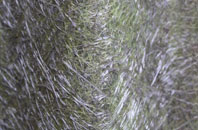 The Drones fibreglass roof work