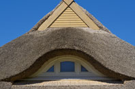 The Drones thatch roofing